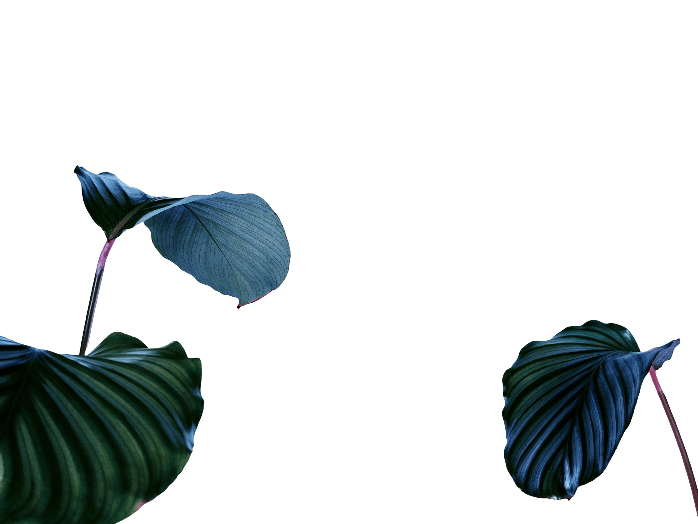 Soft therapy background